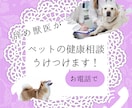 ペットの健康相談お電話で受けつけます 動物病院で聞きづらいこと、聞いてみませんか？ イメージ1