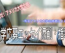 アメリカ大学応募用のエッセイを添削します アメリカトップ私立大学現役合格者が熱心に指導します！！ イメージ1