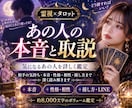 あの人の本音と取説を霊視タロットで詳しく鑑定します 相手の気持ち・本音・性格・相性・接し方まで深く読み解きます イメージ9