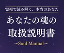 簡易版｜霊視で読み解く魂のトリセツをお届けします 本来のあなたを知る/性格/才能/恋愛傾向/人生の課題/開運 イメージ1