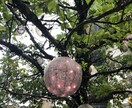 どんな事でも、お話聞きます いつでも、貴方の話し相手になります（╹◡╹） イメージ1