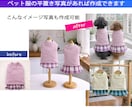 平置き写真からペット着用画像を作成します ペット服販売の商品ページに。平置き写真で作成可能。 イメージ4