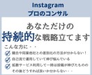 Instagramのプロが持続的な戦略考えます ★運用代行よりもコスパ良し！★個人事業主〜大手様実績多数 イメージ1