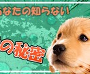 低価格・高品質！　YouTube編集いたします コンテンツの魅力アップお任せください。 イメージ3