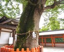理解、共感してほしい悩みのお話しお聞きします 育児の悩み、夫婦関係、不倫、人間関係、鬱のお悩みお聞きします イメージ1