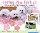 集客に繋がるWebバナー・ヘッダー制作します ターゲット設計×視線誘導を意識したデザインをご提案 イメージ5