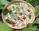 薬膳とスピリチュアルで貴方の心の憂いを取ります 心身一如の考えをもとに貴方が元気になりますように！ イメージ2