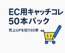 EC用キャッチコピー50本パック作ります 即効性◎売上UPを狙う50案！ イメージ1