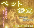 鑑定歴25年|琉球霊術でペット鑑定をします なにしているか、生まれ変わり、今の気持ち、亡くなった原因、 イメージ1
