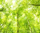 思考や感情の歪みを取り去り心のモヤモヤを晴らします スーパー心リフレッシュツール『正心』神様が分かれば上手く行く イメージ1