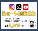 フルテロップ無料◎ショート動画編集します Instagram、TikTok、YouTubeショートなど イメージ1