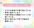 資格あり・経験10年／子育てのお悩みお聴きします 子育て・子どもに関するお悩みを優しく受け止めます イメージ3