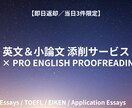 AI×プロが即日添削します 名大・東大チーム×AIで高精度添削！ イメージ1