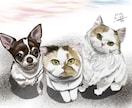 リアルなペットイラスト描きます 犬猫から爬虫類、猛禽類まで何でも! イメージ6