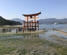 幸せになるための鍵を見つけます 本気で幸せになりたい方の為の全力鑑定です。 イメージ1
