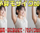 モザイク・ぼかし加工いたします 低予算から選べるプランでモザイク加工！ イメージ1