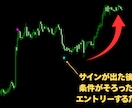 あと1個限定価格　FXサインツールを提供します 手法マニュアル ＋ MT4オリジナルインジケーターのセット イメージ3