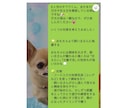 オンラインしつけ相談をします ペットとより良い暮らしに！しつけ教室の前にご相談ください！ イメージ5