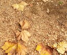 感情スパーリング！どんな悩みも愚痴も受け付けます イライラ、悲しくなった、落ち込んだ等ドンと受け止めます！ イメージ6