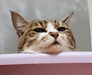 ナレーションや声当てします 初心者ながらも頑張ります(p`･ω･´q) イメージ1
