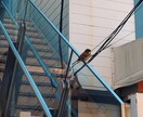 お悩みをお聞きします 貴方のお悩みをお聞かせください イメージ1