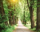 気持ちや心のスッキリのお手伝いします 神様が分かり思考が整い技術が整うので生活も人生もより快適に イメージ1
