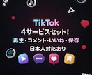 TikTok 日本人 コメントいいね再生増やします 日本人 コメント10 いいね110 再生10,000 保存 イメージ1