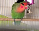 貴方が嫌いな自分自身を癒して許して手離します 幸せを知ってください。人は幸せにしかならないのです。 イメージ5