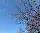 あなたのこれからのために、大切なものさがします あなたのこれからのため、大切なこと見つめ直してみませんか イメージ1