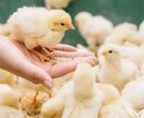 障がい者の俺が、障がいを持つあなたに寄り添います 俺自身も障がい者なんだぜ(　･`ω･´)ｷﾘｯ イメージ5