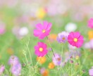 気を使いすぎて疲れる...人間関係のお悩み聞きます HSP（繊細さん）のモヤモヤする気持ち、優しく受け止めます イメージ6