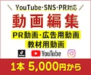 SNSの動画編集します 集客に繋げるSNS動画3分以内で魅力を伝えます。 イメージ6