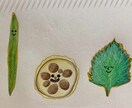 食育、SNSに使える天ぷら素材をお届けします 食育や教材にピッタリ！実写風素材6点セット イメージ4