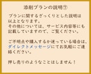 添削プラン　職務経歴書や応募文章をプロが添削します プロ品質の文章を作成/結果に直結　総販売実績1600件突破 イメージ8
