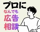 プロがInstagram広告の改善コンサルします 現役代理店マーケターが画面共有で診断・改善アドバイス イメージ1