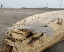 お話に共感し、寄り添いながらお聴きします エンパス&経験豊富な国家資格キャリコンが傾聴 イメージ2