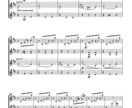 ソロやアンサンブルに編曲いたします お気に入りの作品を室内楽や小編成吹奏楽・管弦楽にア イメージ3