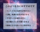 天啓霊視｜ペットの気持ちとメッセージをお伝えします ご存命の子も、虹の橋の子も対応します イメージ2