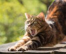 あなたの心のお悩みに寄り添います あなたが人生の主役です。明るい未来を一緒に見てみませんか？ イメージ4