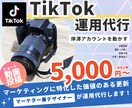 堅実なTikTok運用、動画SNS代行をします 価値のあるSNS運用ならお任せください！届けたいユーザーへ イメージ1