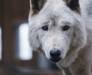 ぐるぐる思考やお悩み◎じっくり〝傾聴〟します 経験10年以上の〈元教員〉があなたの心や思いに寄り添います イメージ10