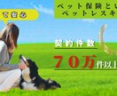 お客様にごご満足いただけるLP制作をします あなたのブランドを輝かせるデザイン イメージ4