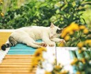 介護疲れの愚痴、お悩みをお聞きします 両親の介護経験がある占い師が、お客様のお気持ちに寄り添います イメージ2