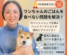 テキスト相談|愛犬のごはん食べない問題を解決します 元ペットショップ店員×ペットフーディストが個別アドバイス！ イメージ1