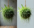 Photoshopでいろいろ切抜きます デザイナー歴15年のデザイナーが対応いたします イメージ3
