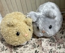 可愛いぬいぐるみキーホルダー制作します ふわふわ素材のぬいぐるみキーホルダーです イメージ2