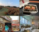 福岡市内で指定場所の写真/動画撮影を代行します スマホで撮影します。現地調査・資料用・ブログ・SNSなどに◎ イメージ1