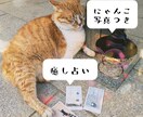 にゃんこから癒しのタロットメッセージをお送りします つらい時、そっと背中を押してくれる“にゃんこからの贈り物” イメージ1