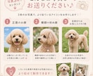 うちの子　写真からフォトリアル　アイコン制作します お気に入りの写真3枚で、世界にひとつのアイコンに♪ イメージ2
