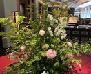 あなたの恋愛の悩み解決します モテモテ女子、モテモテ男子になり薔薇色人生getしましょう イメージ2